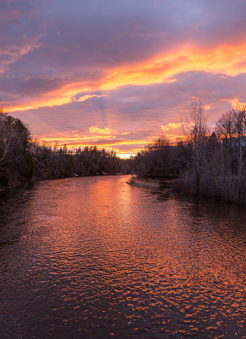 764_img_0663-hdr_1449x2000-standard.jpg