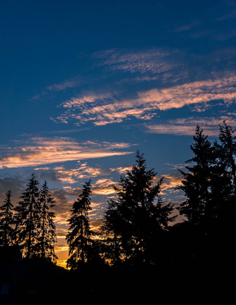 993_dsc05565_1549x2000-standard.jpg