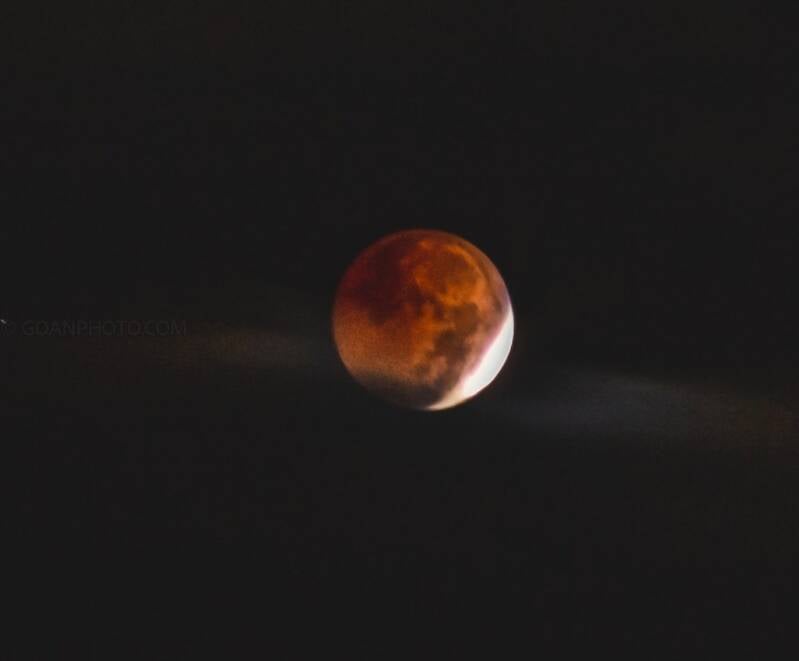 blood-moon-eclipse_52487428989_l-standard.jpg