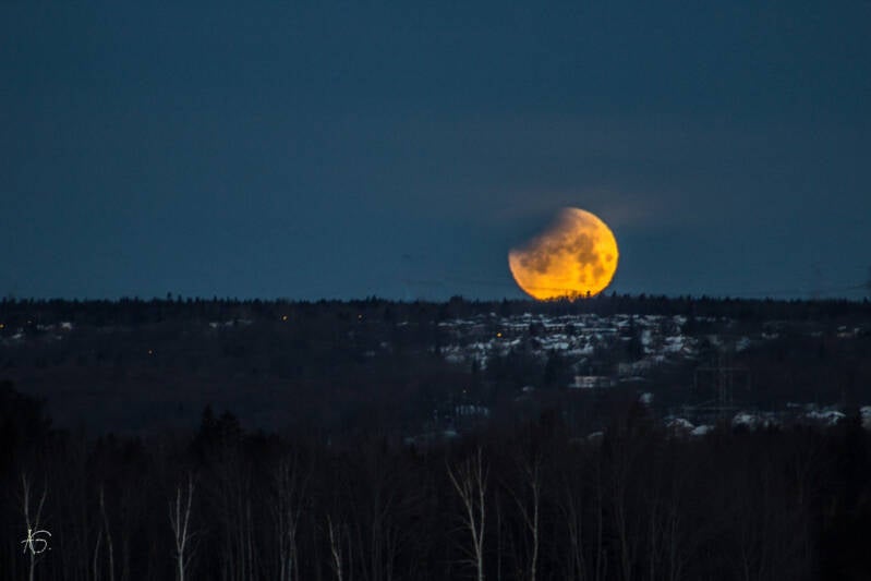 eclipse-of-the-supermoon-set_25141062097_l-standard.jpg
