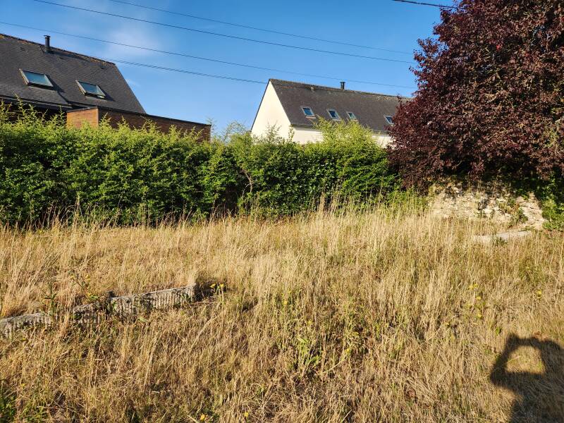 Débroussaillage à Erdeven