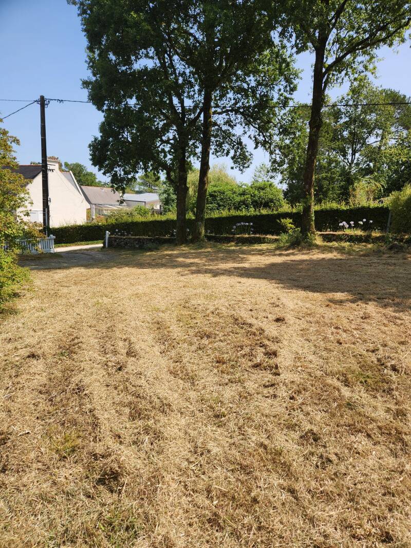 terrain-apres-debroussaillage-la-vraie-croix
