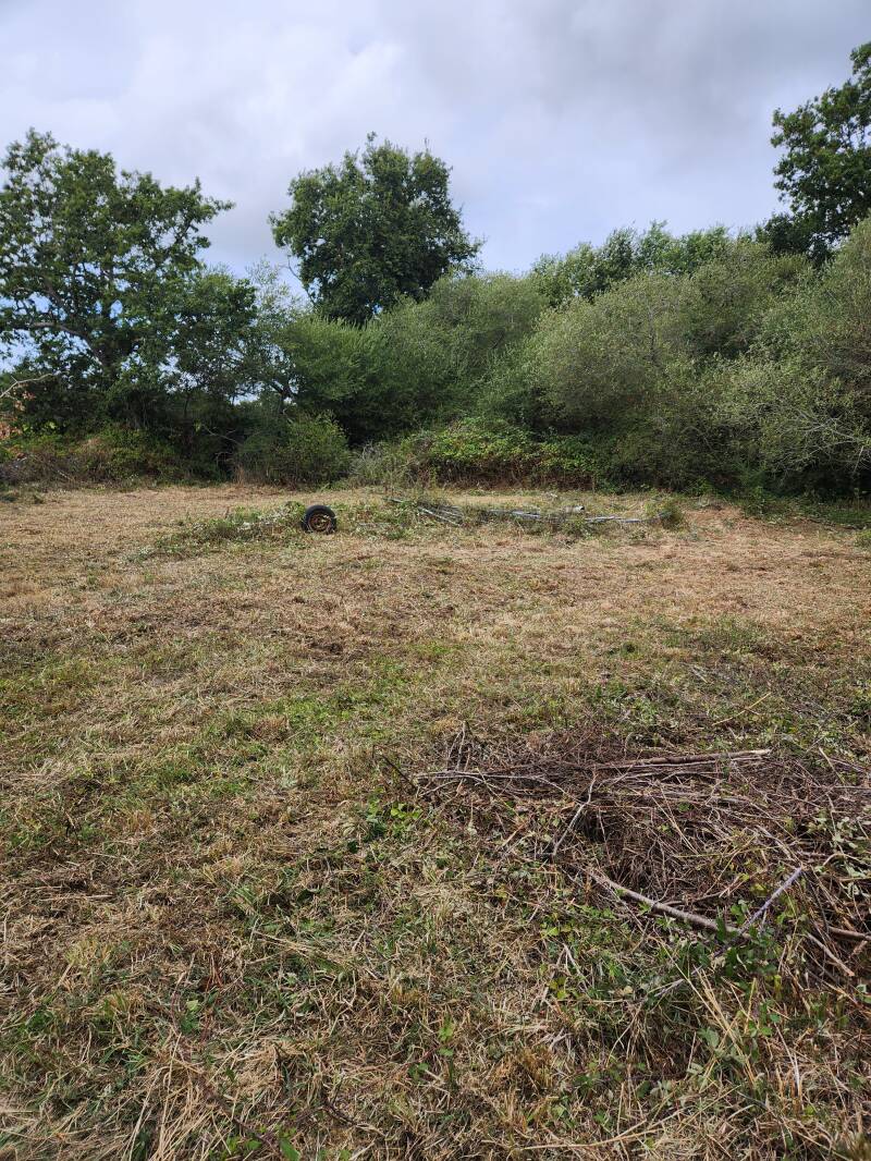 Terrain après débroussaillage robotisé à Locmariaquer dans le Morbihan