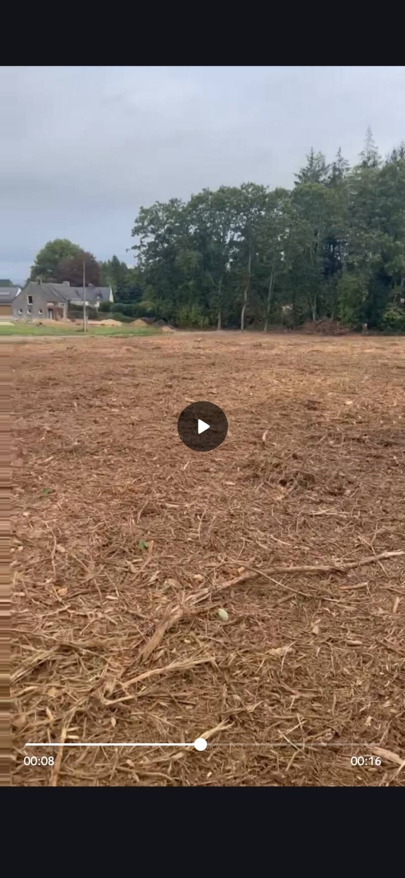 Broyage de ronces et de souches dans le morbihan après