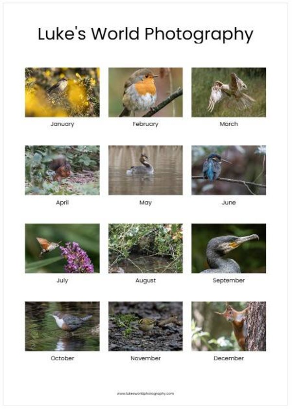Charity Calendars 2027