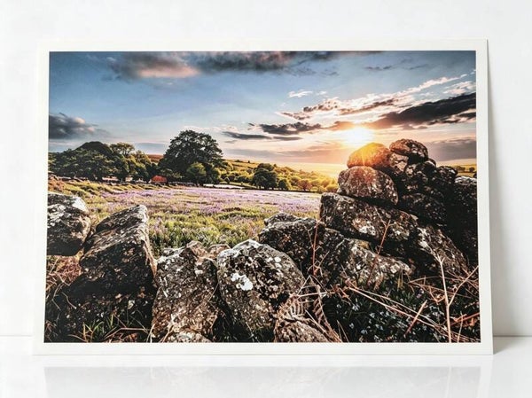 Bluebell Sunset
