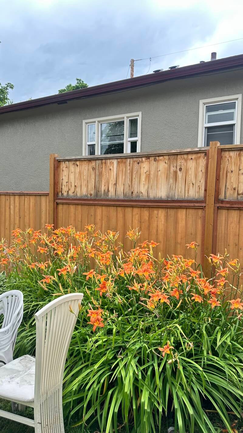Fence surface condition