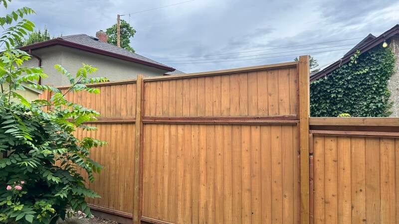 Cedar fence