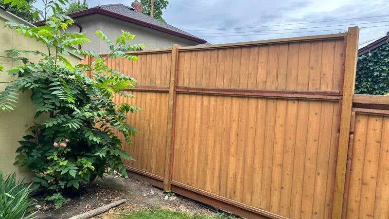Cedar fence and gate