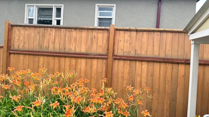 Garden fence