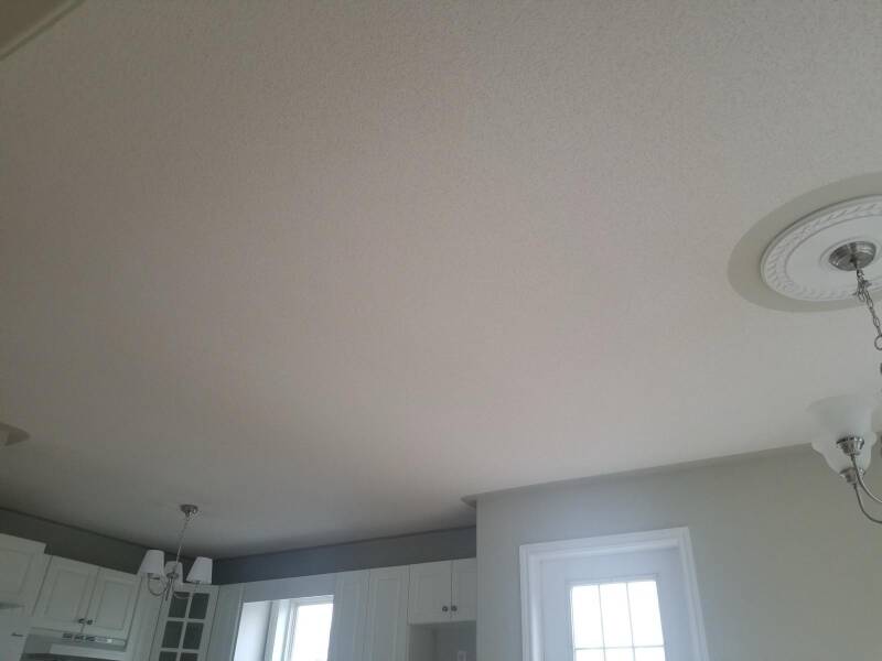 Ceiling finish