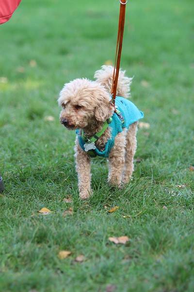 comp_img_5177-standard.jpg