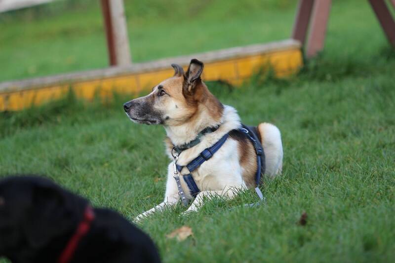 comp_img_5198-standard.jpg
