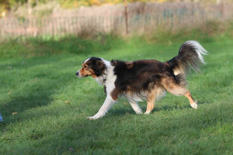 comp_img_5330-standard.jpg