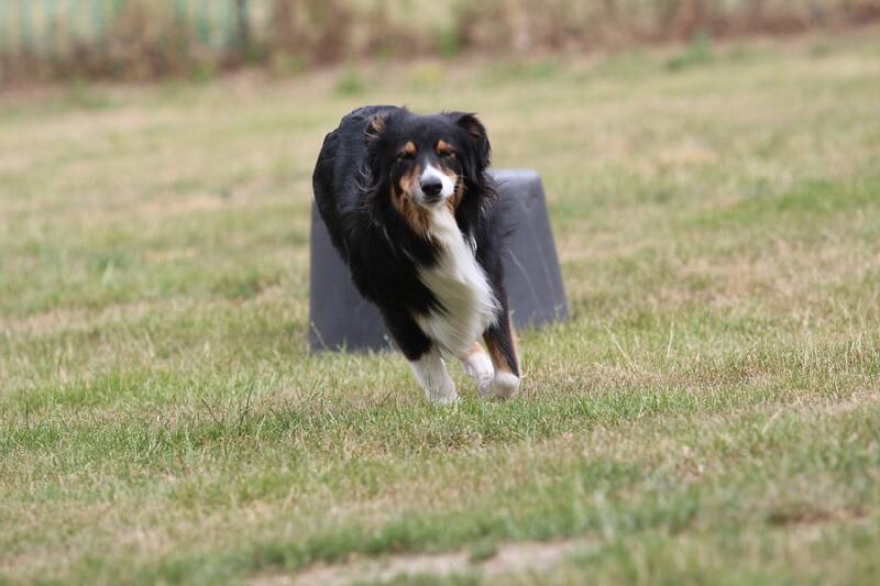 comp_img_9772-standard.jpg