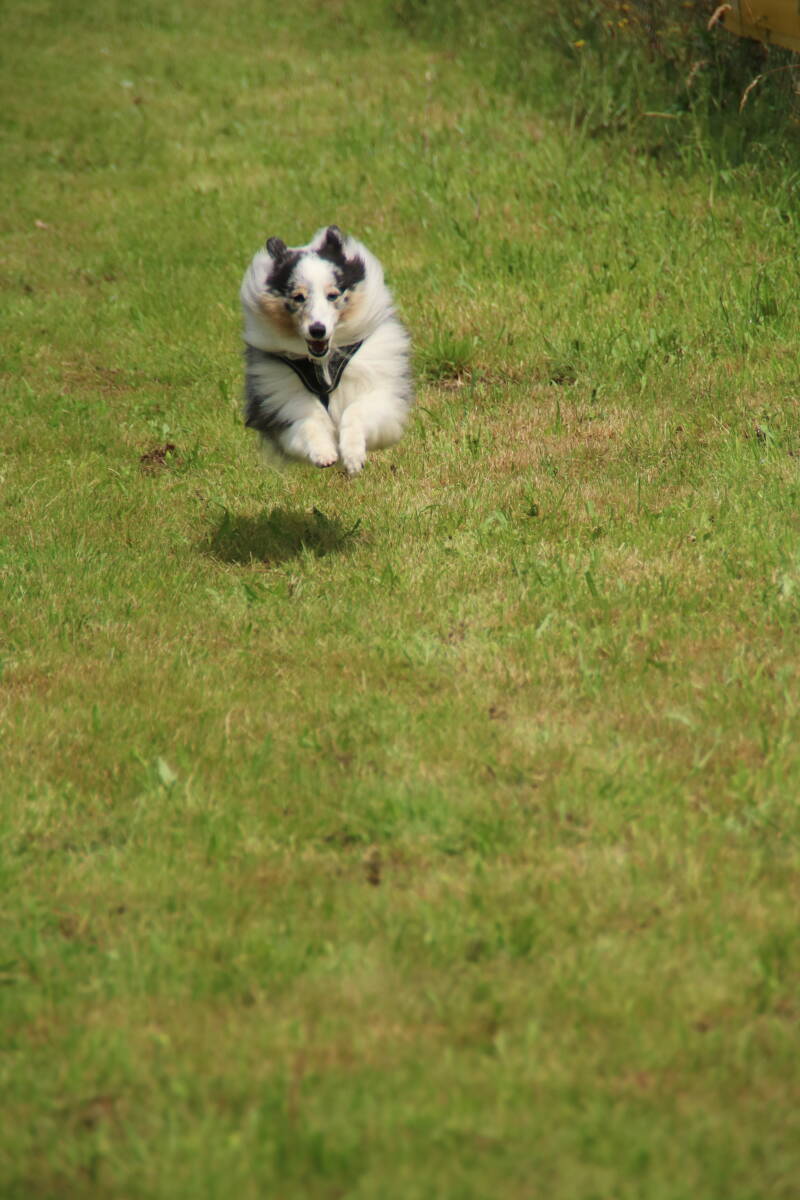 img_5837-standard.jpg
