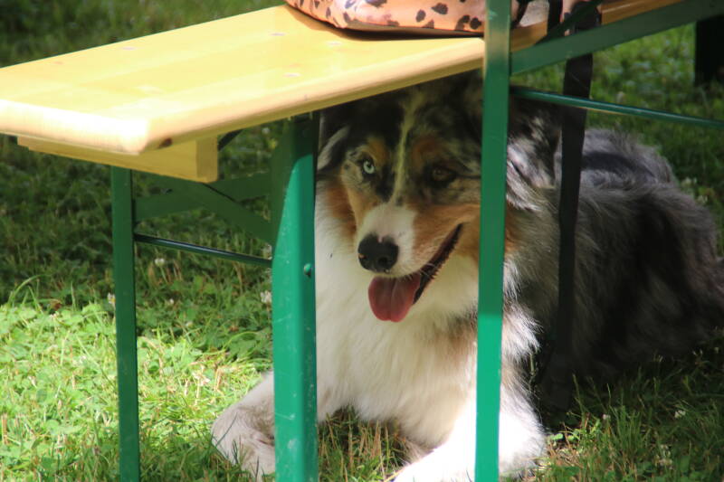 img_5891-standard.jpg