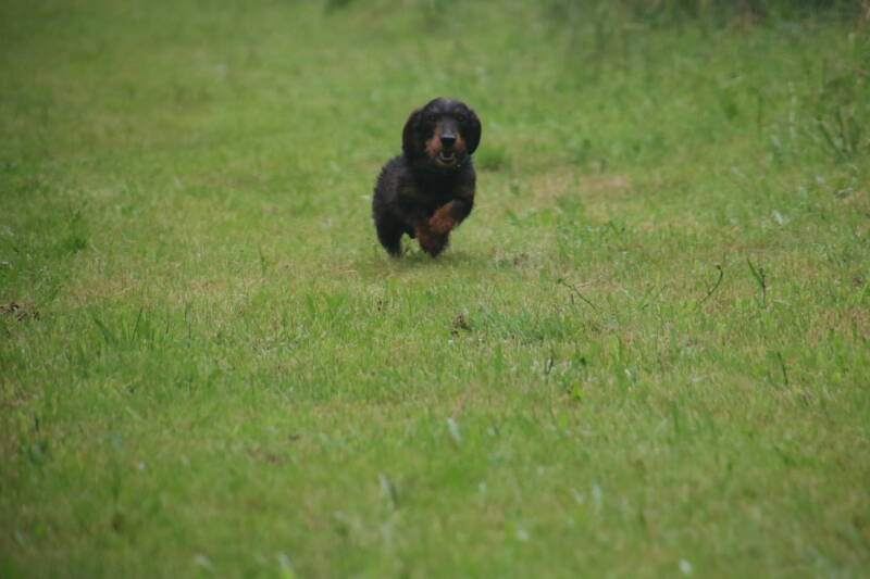 img_7170-standard.jpg