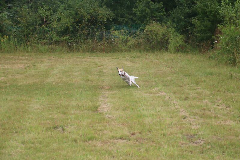 img_7258-standard.jpg