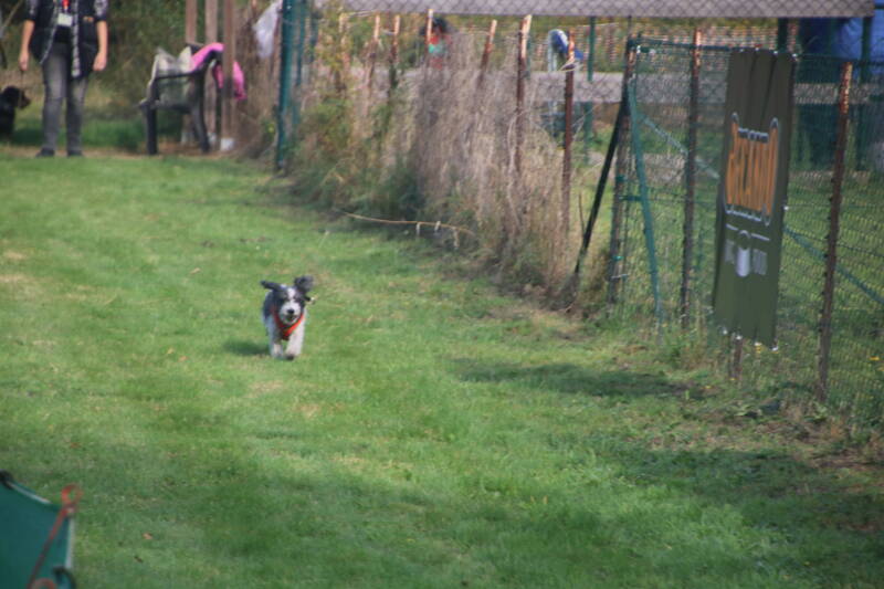 img_7765-standard.jpg