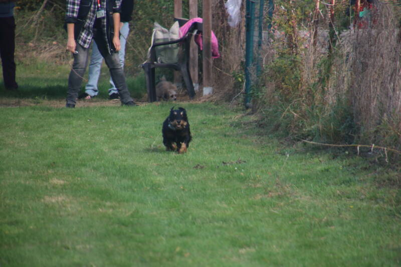 img_7780-standard.jpg