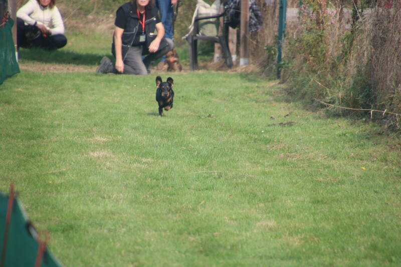 img_7940-standard.jpg