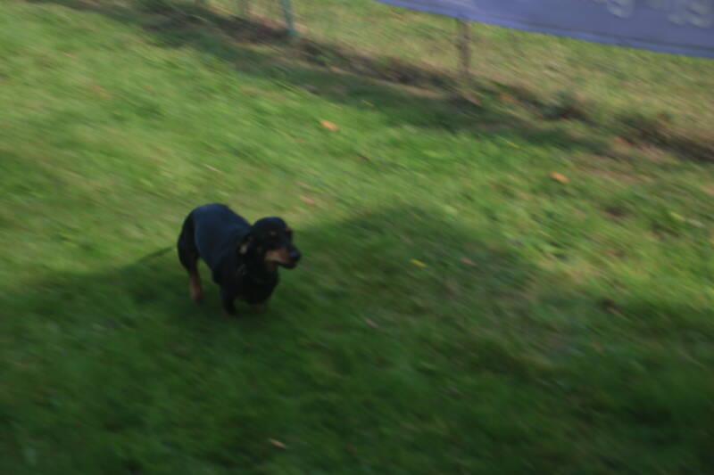 img_7957-standard.jpg