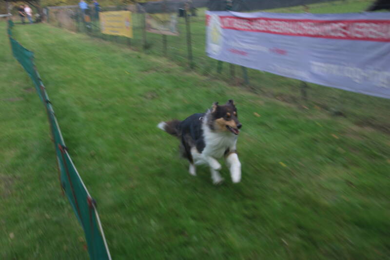 img_8207-standard.jpg