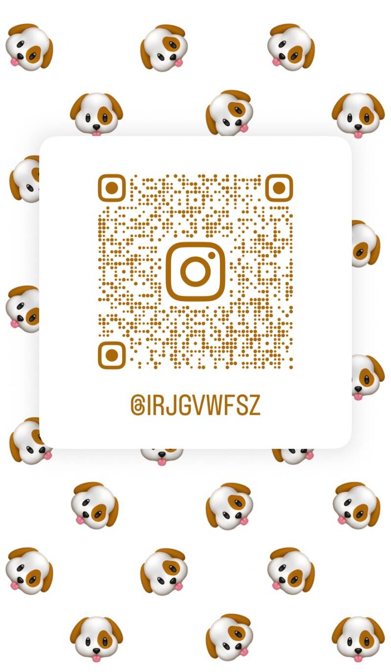 QR-Code für Instagram IRJGV WF-SZ