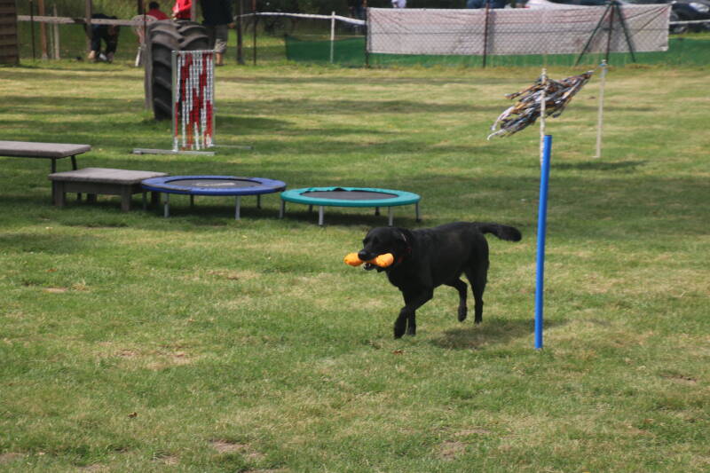 sommerfest-23-08-2026-benny-kamera-077-standard.jpg