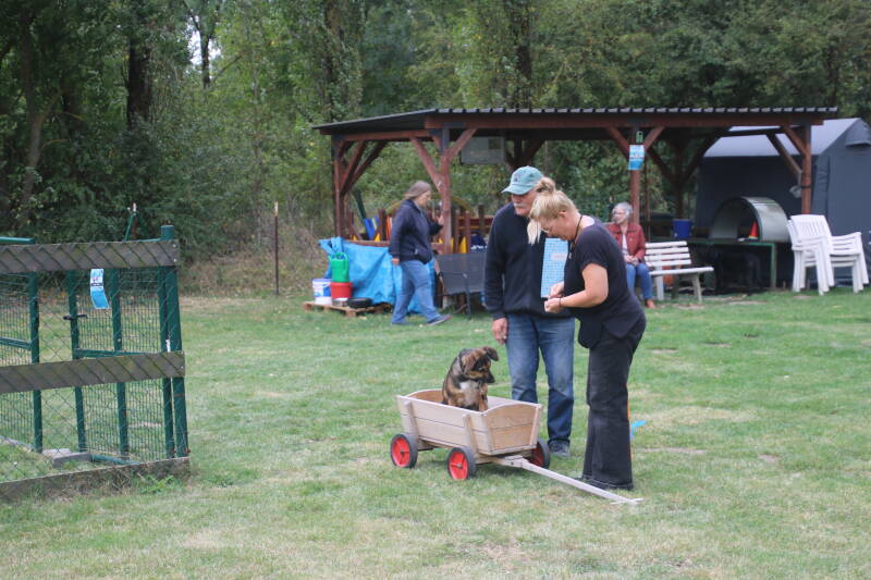 sommerfest-23-08-2026-benny-kamera-157-standard.jpg