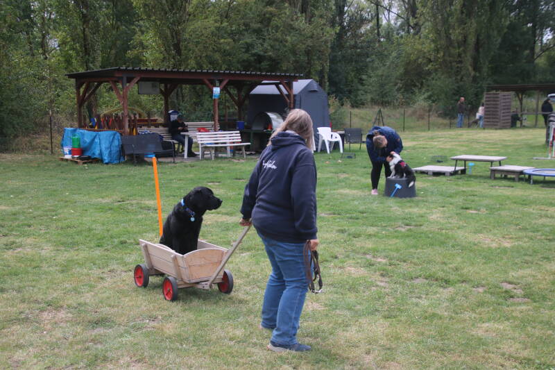 sommerfest-23-08-2026-benny-kamera-185-standard.jpg