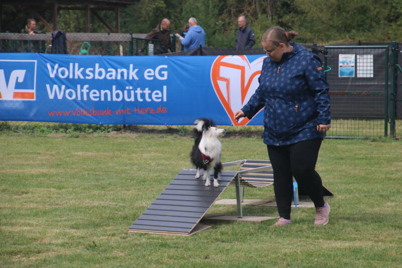 sommerfest-23-08-2026-benny-kamera-197-standard.jpg