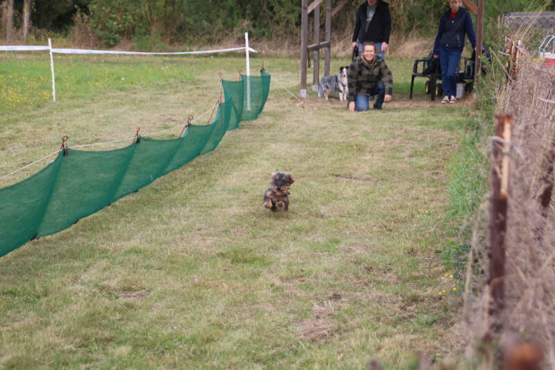 sommerfest-23-08-2026-volker-kamera-037-standard.jpg