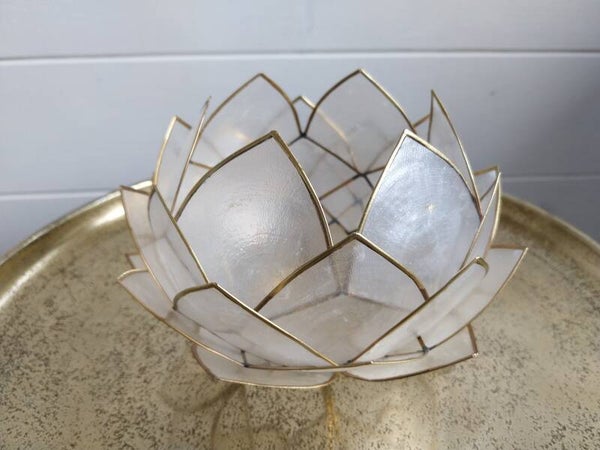 Lotus groot