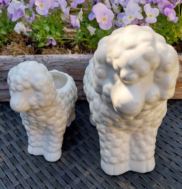 Set van 2 lammetjes
