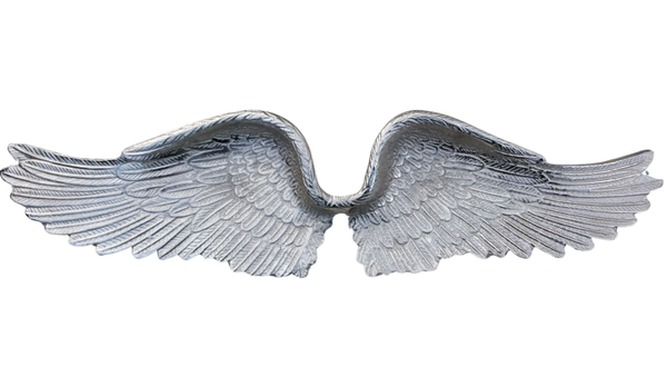 Zilveren vleugels