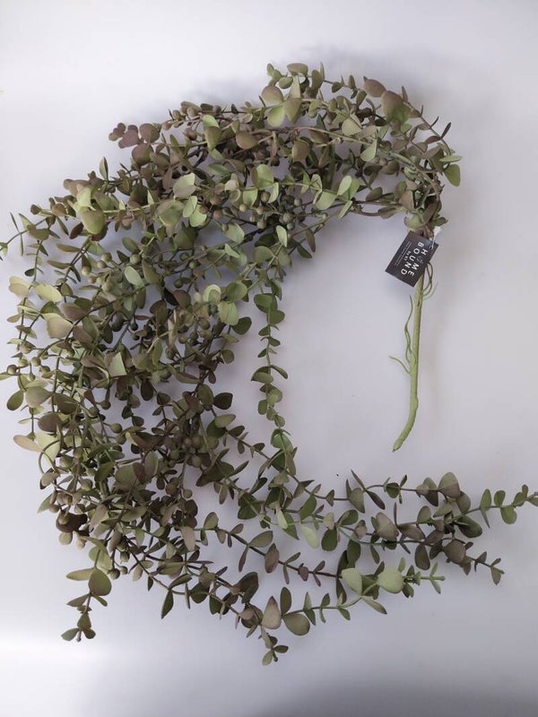 Eucalyptus tak 85 cm