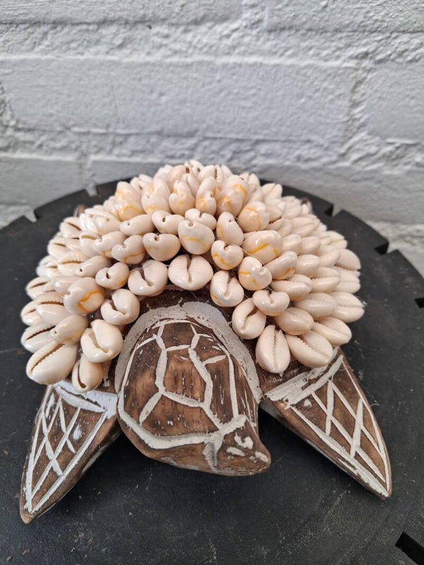 Houten schildpad met schelpen