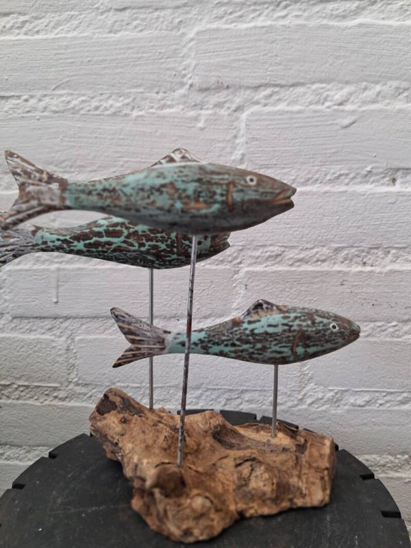 Fish teri drift wood