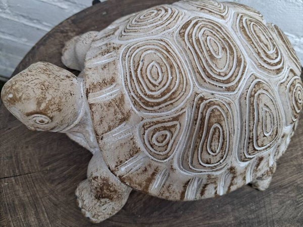 Ibiza Beach style schildpad wit