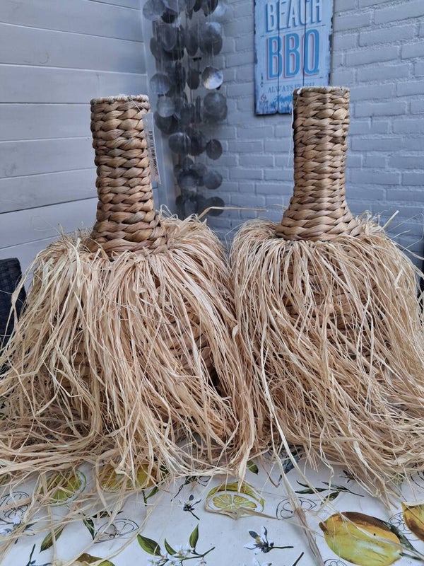Gave Monkey vaas rotan