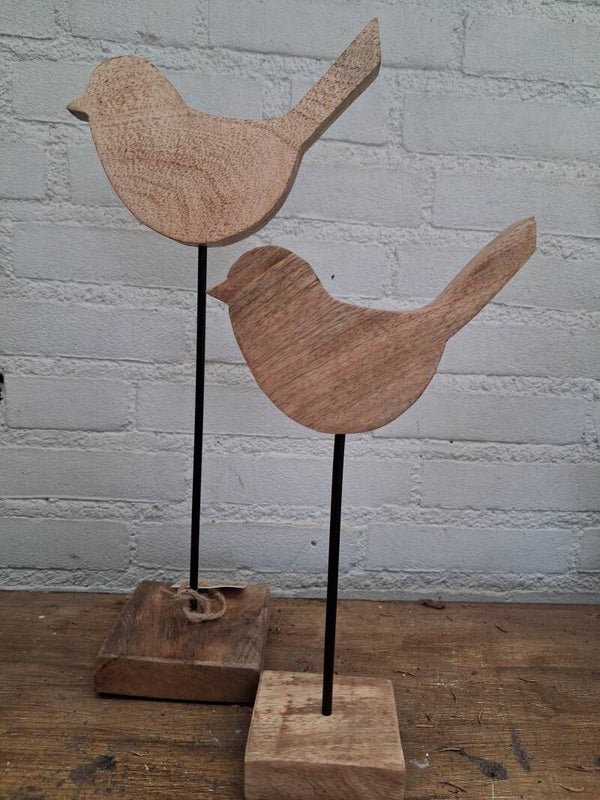Vogel mangohout op voet L