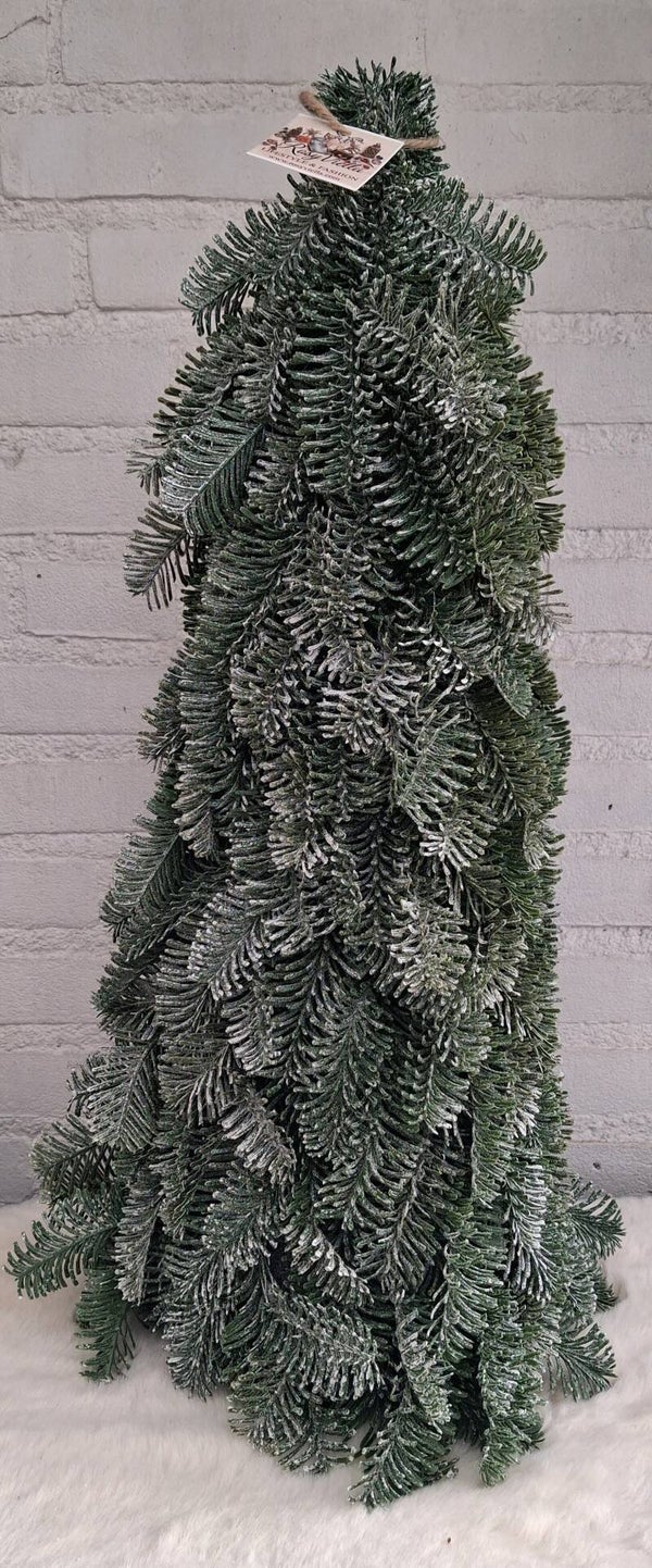 Nobilis 60 cm