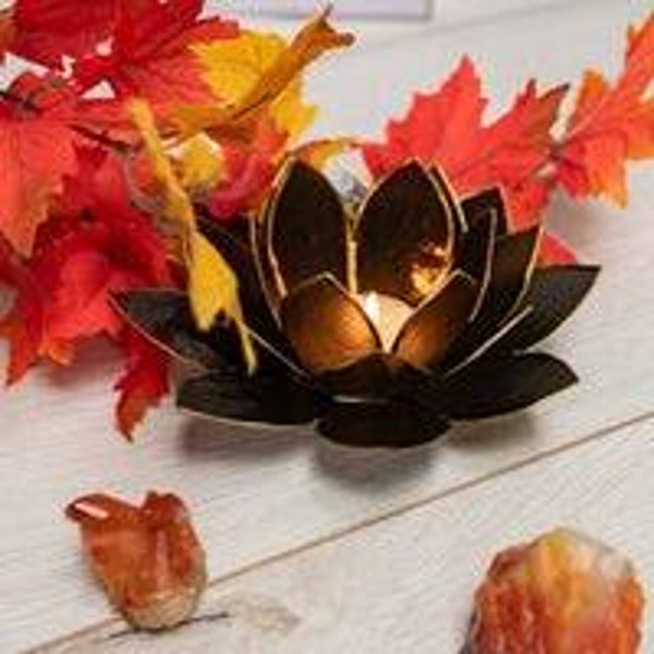 Sfeerlicht lotus zwart