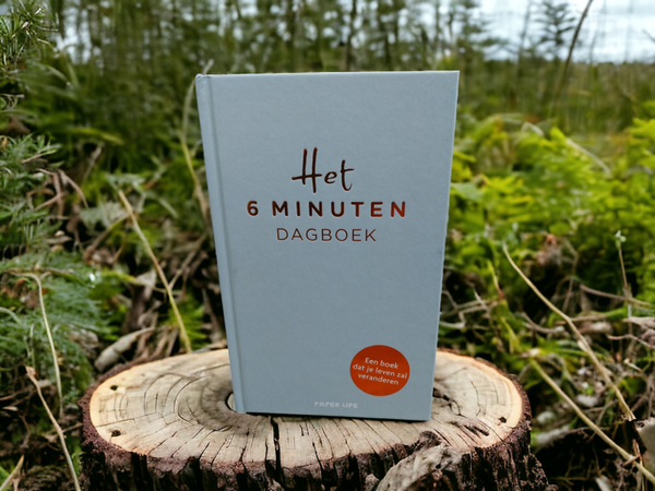 Het 6 minuten dagboek