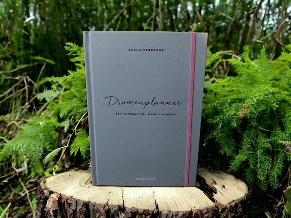 Dromenplanner