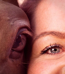 Therapie met paarden