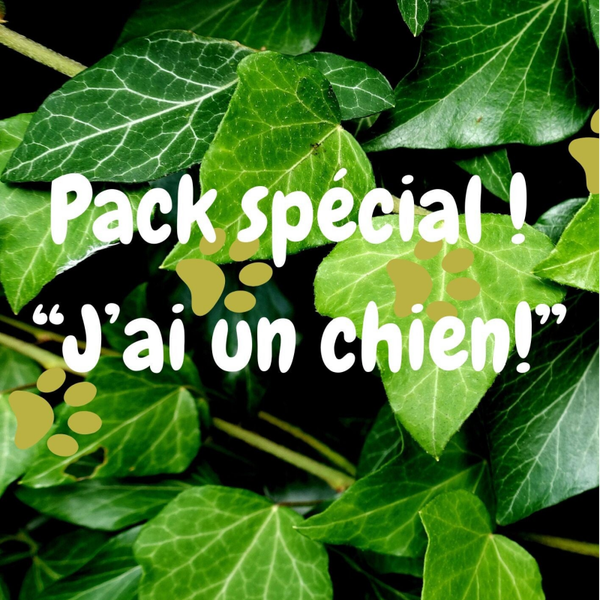 Pack spécial "j'ai un chien!"