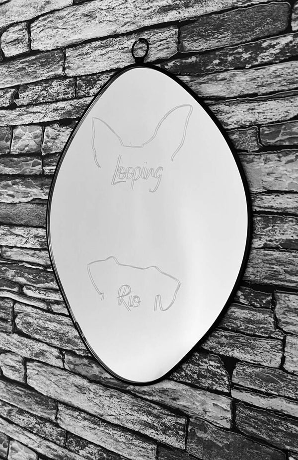 Miroir chien